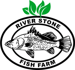 Dead Clipart Stinky Fish - Boston United Fc Png