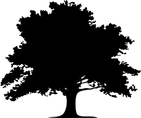 Home - Silhouette Oak Tree Clipart Png