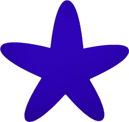 Chuck The Starfish Foam Pool Mat 36 X 15 - Lovely Png