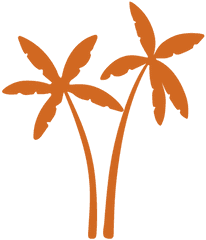 Doodle Palm Tree Icon - Icono Palmera Png