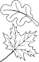 Leaf Outline Autumn Outlines Fall Clip A 1188570 - Png Fall Leaves Coloring Pages