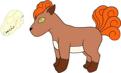 Vulpix Anatomy Portfolio Png