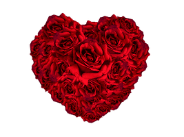 Heart Flower Red PNG Free Photo