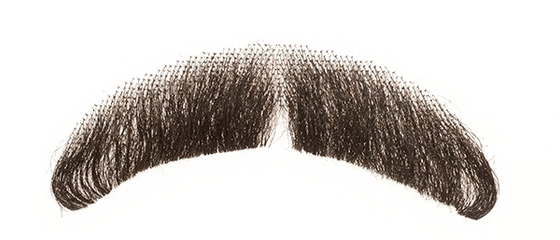 Fake Moustache Transparent Background - Transparent Background Realistic Mustache Png