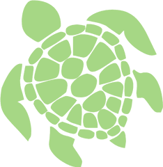 Guacamole Green Turtle Icon - Free Guacamole Green Turtle Icons Turtle Sticker Png