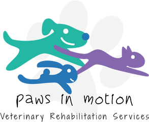 Bold Playful Veterinary Logo Design For Paws In Motion - Graphic Design Png