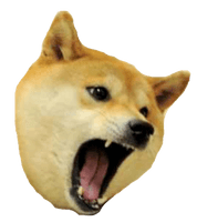 Meme Picture Doge Download Free Image - Free PNG