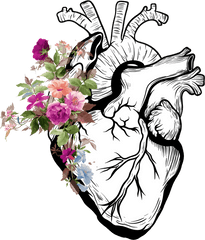 Heart Anatomy Tumblr Flower Flowers - Real Heart Drawing Png