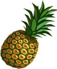 Pineapple Paradise Bay Wikia Fandom - Seedless Fruit Png