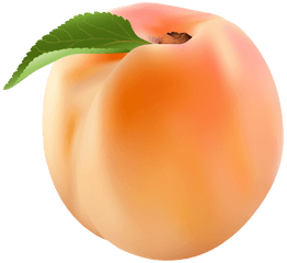 Download Peach Png Clip Art Image Transparent Background