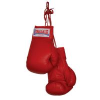 Boxing Gloves Download Png