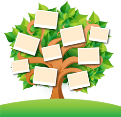 Family Tree Transparent Images Png Mart - Family Tree Background Png