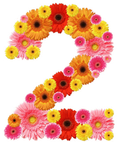 Floral Number PNG Download Free