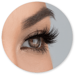 Lashes - Allura Lite Lashes Png