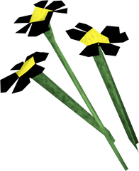 Black Flowers - Osrs Flowers Png