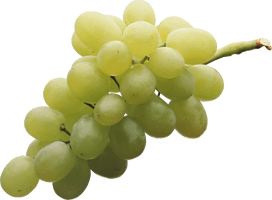 Green Juicy Grapes PNG Image High Quality