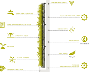 Living Wall Per Square Metre - Benefits Of A Living Wall Png