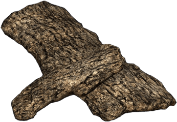 Png Image - Oak Tree Bark Png