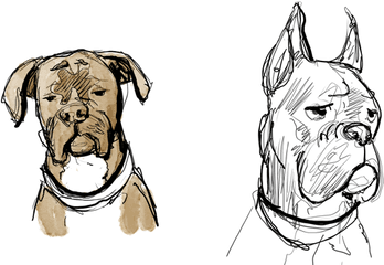 Download Abandon Bonus Page - Draw A Boxer Dog Face Png Draw A Boxer Dog Face