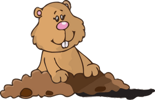 Groundhog Day Cartoon Brown Bear Grizzly For Greeting Cards - Free PNG