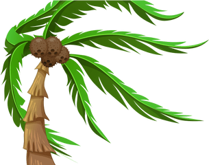 Plants Clipart Coconut Tree - Coconut Tree With Brown Coconuts Png