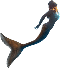 Little Mermaid Llc United Kingdom - Mermaid With Transparent Background Png