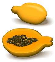 Fresh Papaya Half PNG Download Free