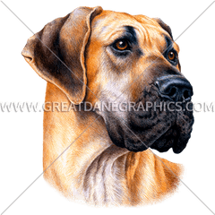 Ready Artwork For T - Great Dane Dog Vector Face Png