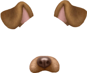 Snapchat Dog Face Png 6 Image - Snapchat Dog Filter Transparent Png