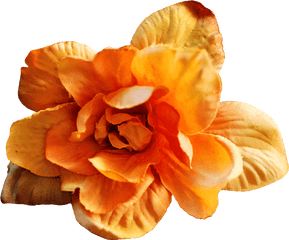 Download Hd Hand Painted Warm Yellow Flowers Png Transparent - Artificial Flower