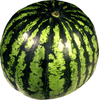 Watermelon Png Image