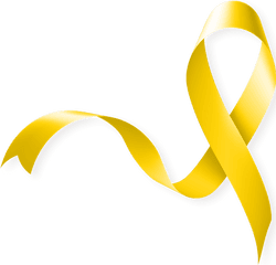 Kinsleyu0027s Cookie Cart Aiding Childhood Cancer Awareness - Transparent Childhood Cancer Ribbon Png