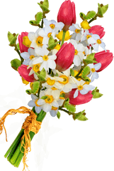 Bouquet Flowers Png - Bouquet Of Flowers Png