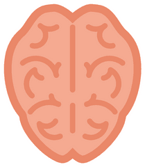 Brain Simple - Illustration Png