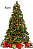 Christmas Tree Photo - Free PNG