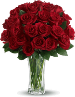 Rose Valentines Day PNG Free Photo