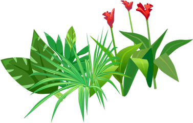 Index Of Assetsimg - Tulip Png