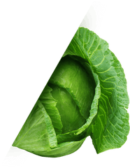 Irish Png - Cabbagemin Cabbage 758752 Vippng Cabbage