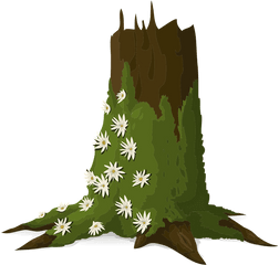 Trees Trunks Moss - Moss Vector Png