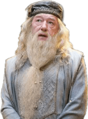 Harrypotter Hogwarts Gryffindor Dumbledore - Michael Gambon Albus Dumbledore Png