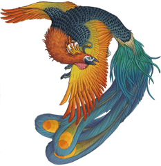 Phoenix Bird Harry Potter - Fenghuang Monster Full Size Bird Feng Huang Png