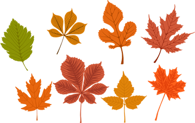 Free Png Autumn Leaves - Konfest