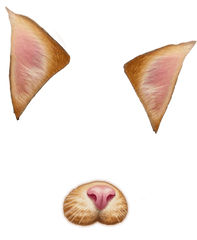 Snapchat Overlays Transparent Png - Snapchat Cat Filter Transparent