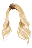 Wig Brown Color Stardoll Hair Human - Free PNG