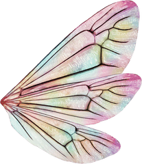 Download Side View Png Fairy Wings - Realistic Fairy Wings Png