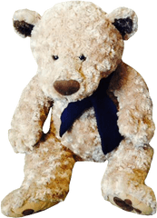 Teddy Bear Transparent Background - Transparent Background Teddy Bear Transparent Png