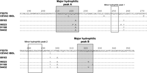 Amino Acid Sequence Of The Vp2 Variable Domain In Ibdv - Screenshot Png