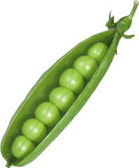 Vegetables Free Png Images - Pea Png