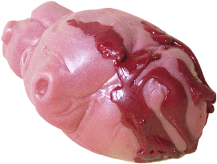 Bleeding Heart Soap - Chocolate Png