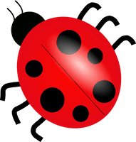 Ladybug Cartoon - Free PNG